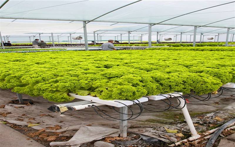 智能溫室系統(tǒng)