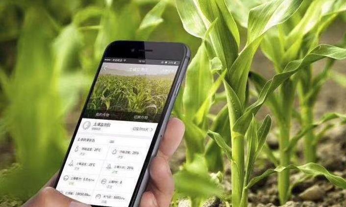 大棚遠(yuǎn)程智能化控制系統(tǒng)