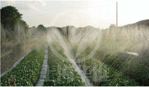 水肥一體化灌溉系統