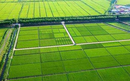 農(nóng)田小氣候監(jiān)測站