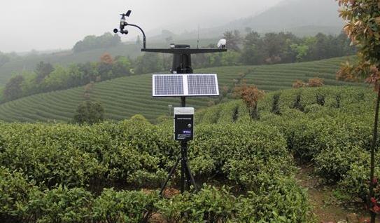 深圳農業氣象監測站 深圳農業氣象監測站