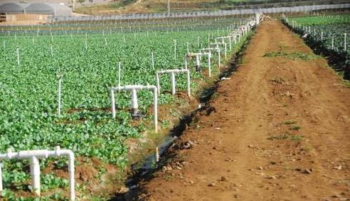 農(nóng)業(yè)傳感器 農(nóng)業(yè)傳感器