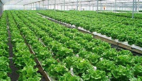 廣州傳感器供應商