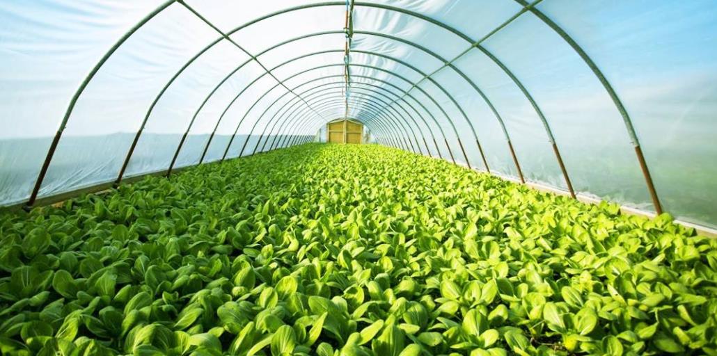 智慧農業傳感器