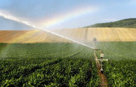 廣州農(nóng)業(yè)傳感器