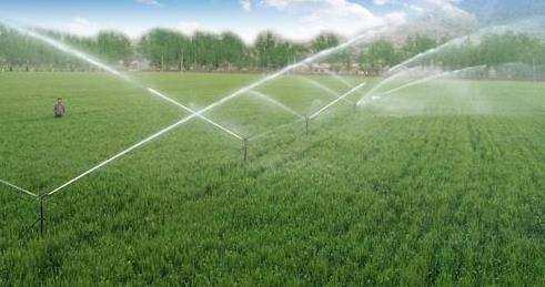 基質栽培自動水肥一體機