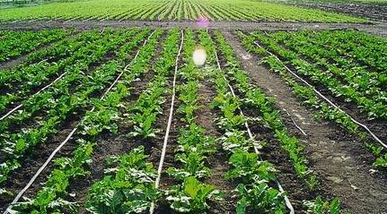 廣州水肥一體化系統