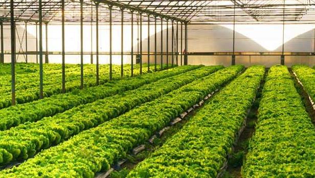 智能農業氣象站廠家