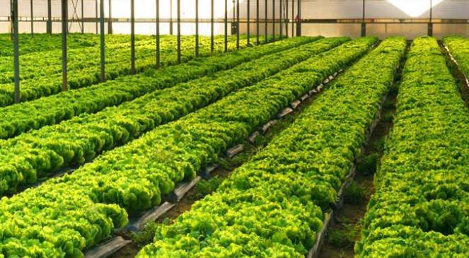 自動氣象站系統