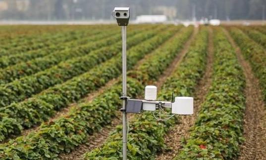 田間智能農(nóng)業(yè)氣象站