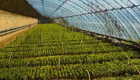 智能農業氣象站多少錢