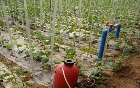 廣州水肥一體化設備