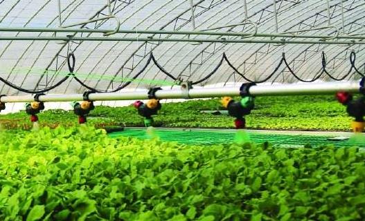 智能灌溉水肥一體系統