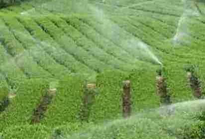 水肥一體化智能系統