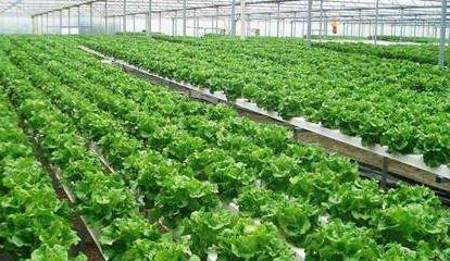  農(nóng)業(yè)傳感器廠商