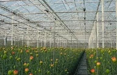 農(nóng)業(yè)傳感器生產(chǎn)廠家