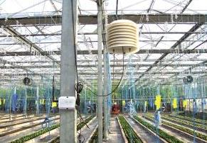 農業傳感器應用