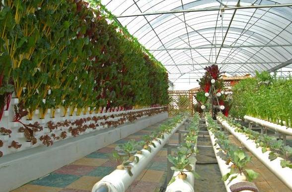 農(nóng)業(yè)傳感器有哪些