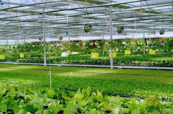 智能農業傳感器概念