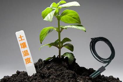 土壤和空氣溫濕度傳感器
