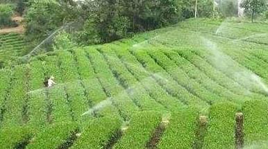 大棚水肥一體化系統(tǒng)