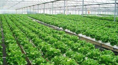 農(nóng)田環(huán)境監(jiān)測(cè)系統(tǒng)