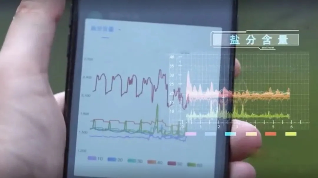 智能農業監測系統