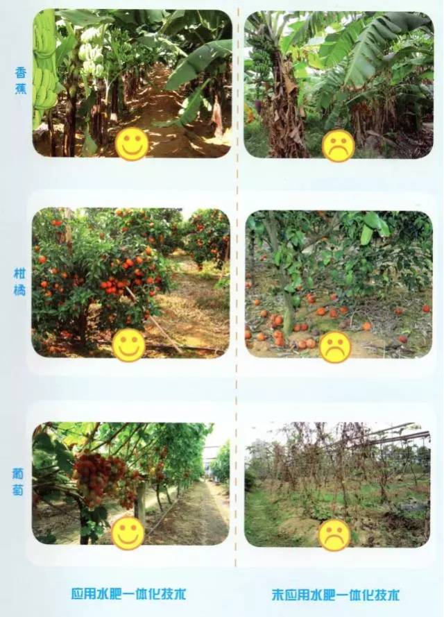 水肥一體機解決方案