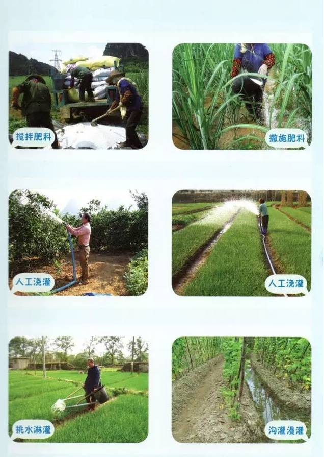 水肥一體機解決方案