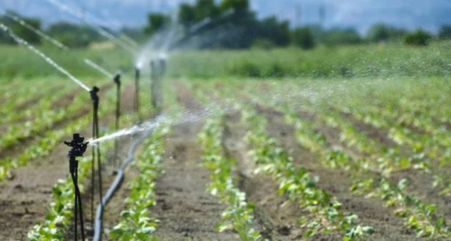 智能自動(dòng)灌溉系統(tǒng)