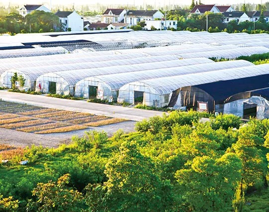 智能農場管理系統