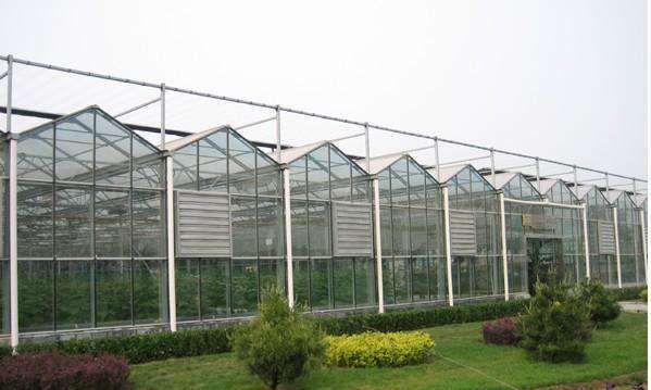 農(nóng)業(yè)智能溫室控制