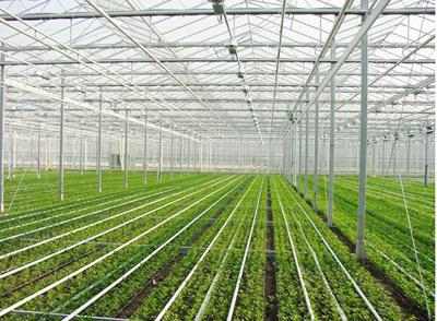 大棚物聯(lián)網(wǎng)