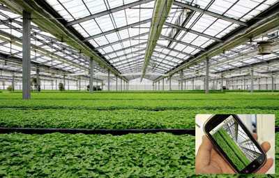 日光溫室物聯(lián)網(wǎng)控制系統(tǒng)