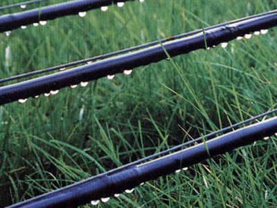 智能滴灌技術(shù) 智能滴灌技術(shù)