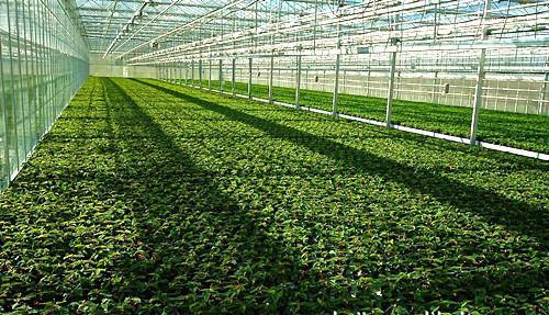 智慧大棚環境監測系統