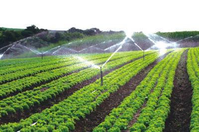 自動灌溉系統廠家