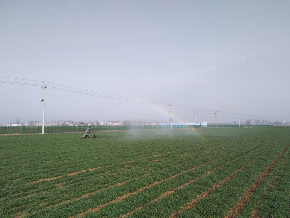 全自動噴灌系統