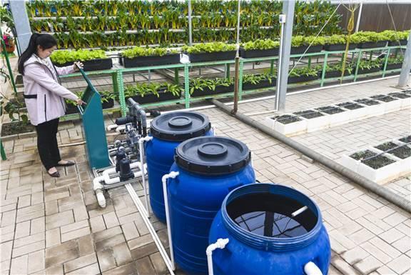 水肥一體化技術