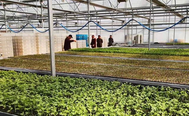 智慧大棚物聯(lián)網(wǎng)