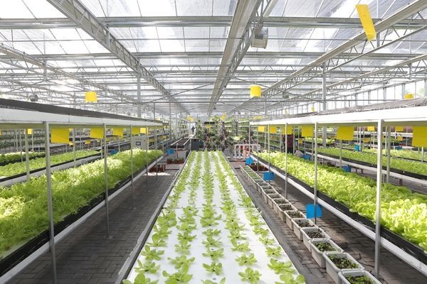 智能大棚物聯(lián)網(wǎng)