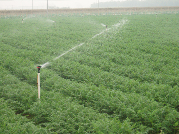 自動(dòng)化灌溉系統(tǒng)