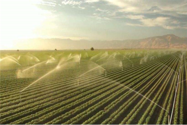 智慧灌溉系統廠家