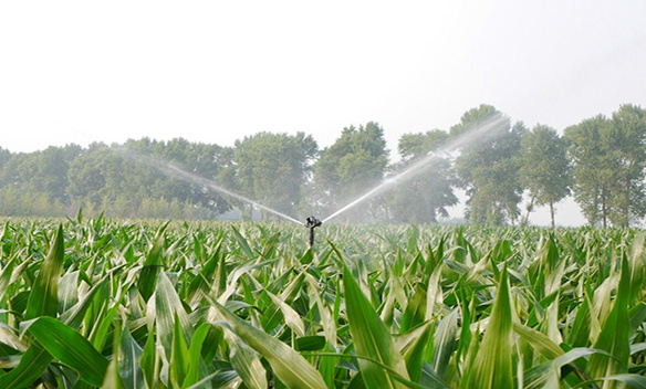 農業智慧灌溉系統