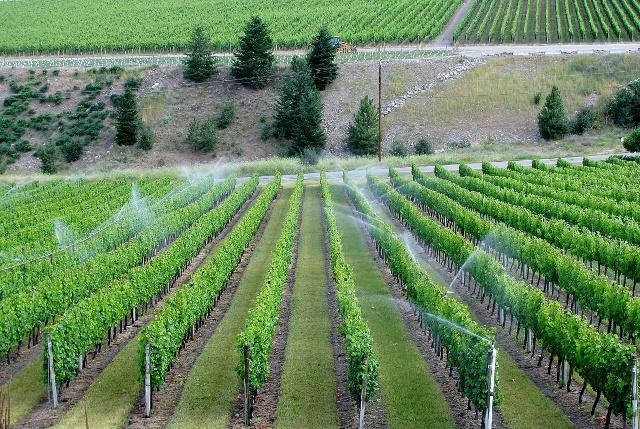 智能化灌溉設備 智能化灌溉設備