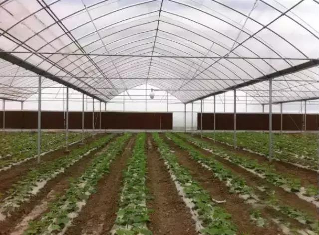 智慧大棚農業控制系統