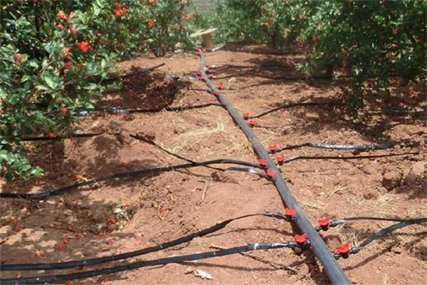 果園智能滴灌 果園智能滴灌