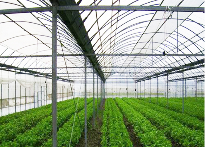 智慧大棚設(shè)備