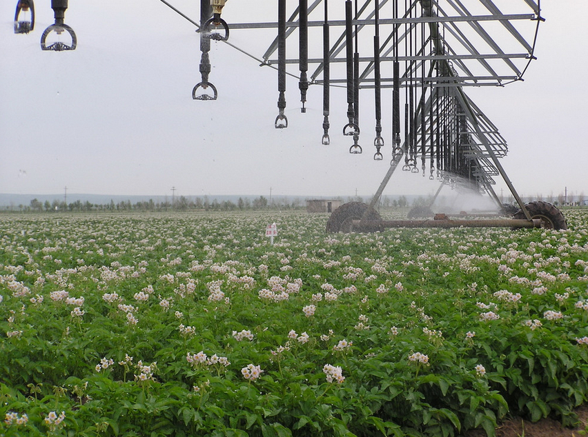 智慧灌溉解決方案