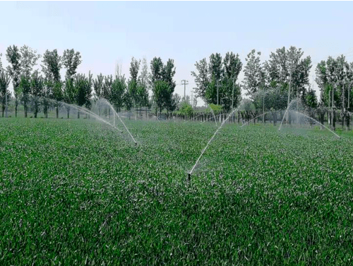 智慧噴灌管理設備